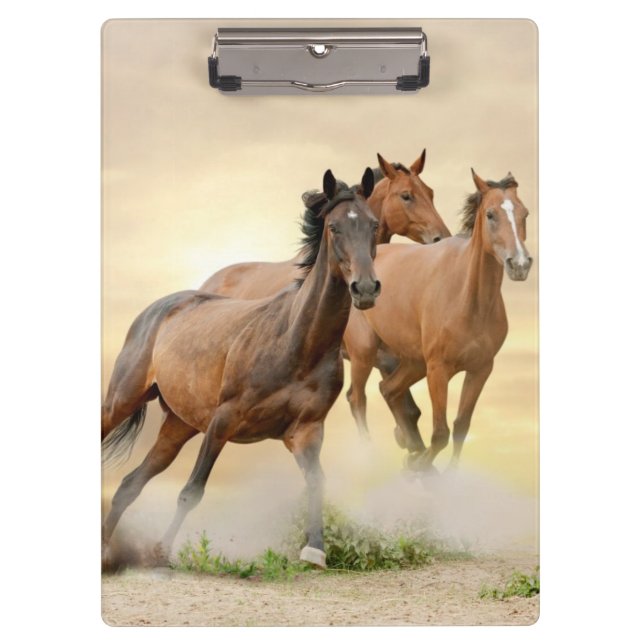 Carpeta De Pinza Caballos en puesta del sol (Anverso)