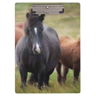 Carpeta De Pinza Caballos hermosos
