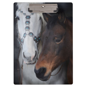 Carpeta De Pinza Caballos hermosos