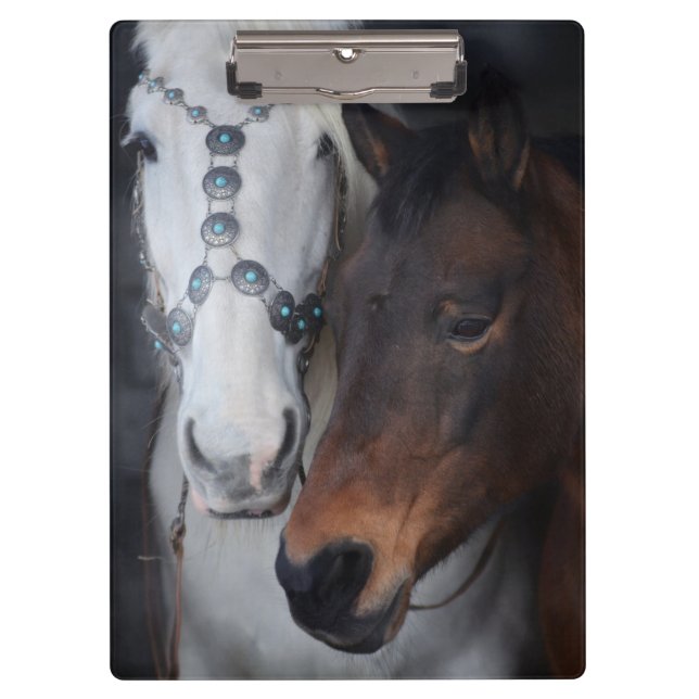 Carpeta De Pinza Caballos hermosos (Anverso)