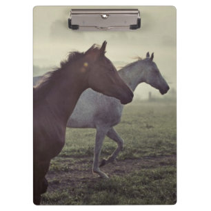 Carpeta De Pinza Caballos salvajes