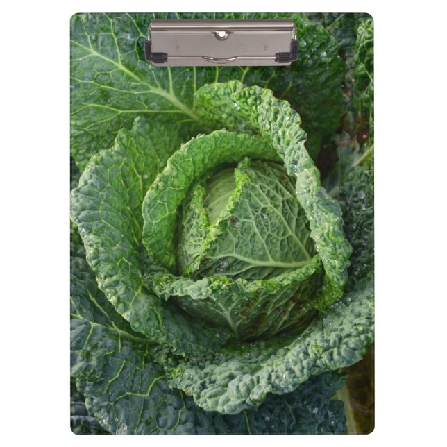 Carpeta De Pinza Cabeza de col orgánica fresca (Anverso)