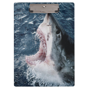 Carpeta De Pinza Cabeza de tiburón blanco