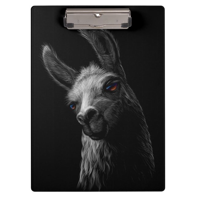Carpeta De Pinza Cabeza retratada llama con fondo negro (Anverso)