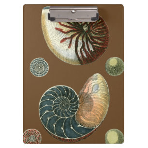 Carpeta De Pinza Cacao Shell