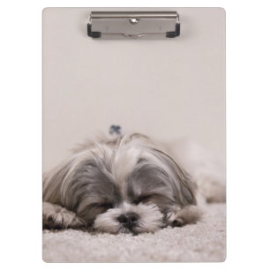Carpeta De Pinza Cachorro dormido