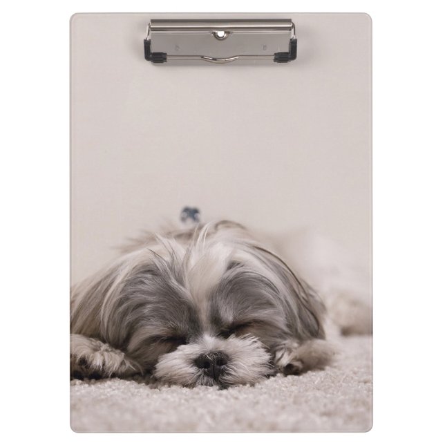 Carpeta De Pinza Cachorro dormido (Anverso)