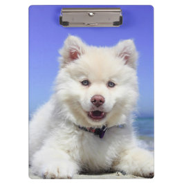 Carpeta De Pinza Cachorro finlandés blanco