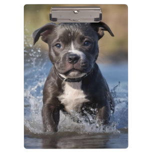 Carpeta De Pinza Cachorro Staffy salpicando en el mar,