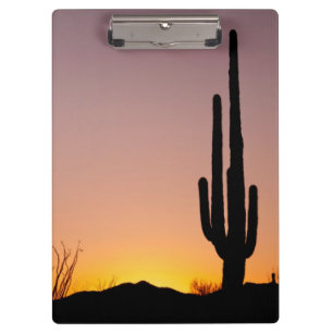 Carpeta De Pinza Cactus del Saguaro en la puesta del sol