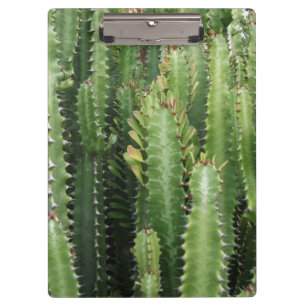 Carpeta De Pinza Cactus Garden