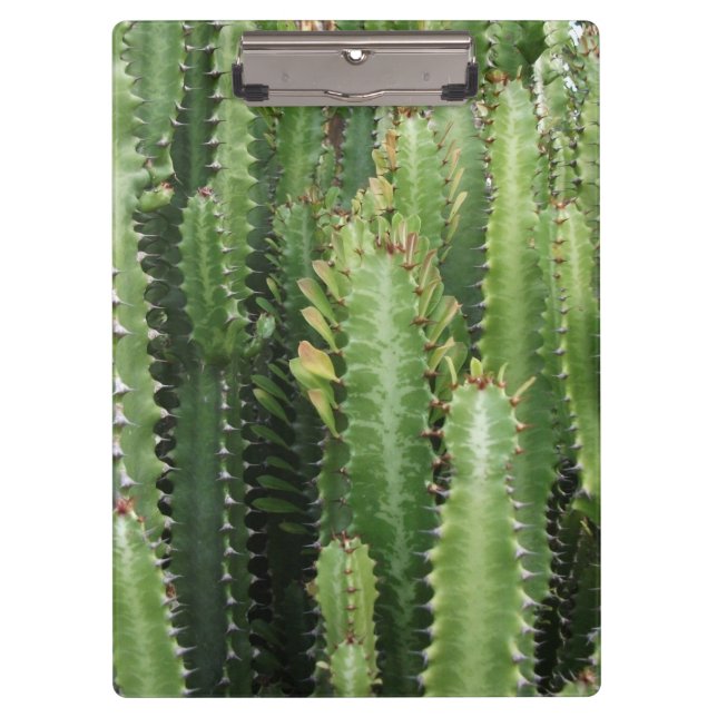 Carpeta De Pinza Cactus Garden (Anverso)