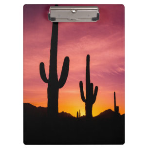 Carpeta De Pinza Cactus saguaro al amanecer, Arizona