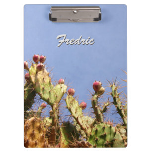 Carpeta De Pinza Cactus tropical contra los cielos azules cualquier