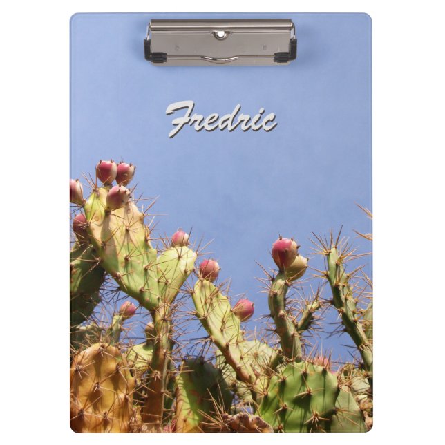 Carpeta De Pinza Cactus tropical contra los cielos azules cualquier (Anverso)