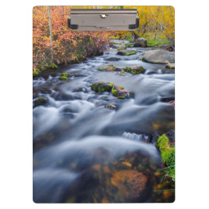 Carpeta De Pinza Caída por Lundy Creek, California