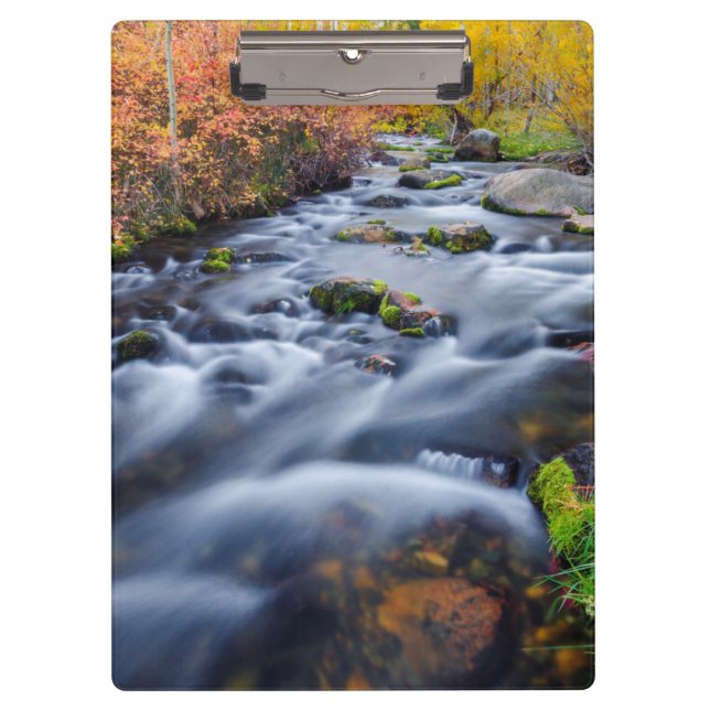 Carpeta De Pinza Caída por Lundy Creek, California (Anverso)
