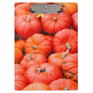 Carpeta De Pinza Calabazas naranjas en el mercado, Alemania