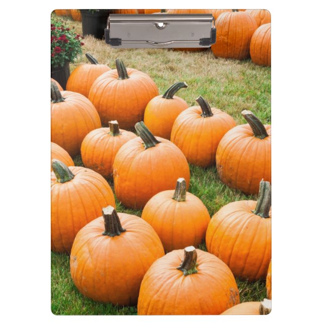 Carpeta De Pinza Calabazas para la venta en el mercado de un (Anverso)