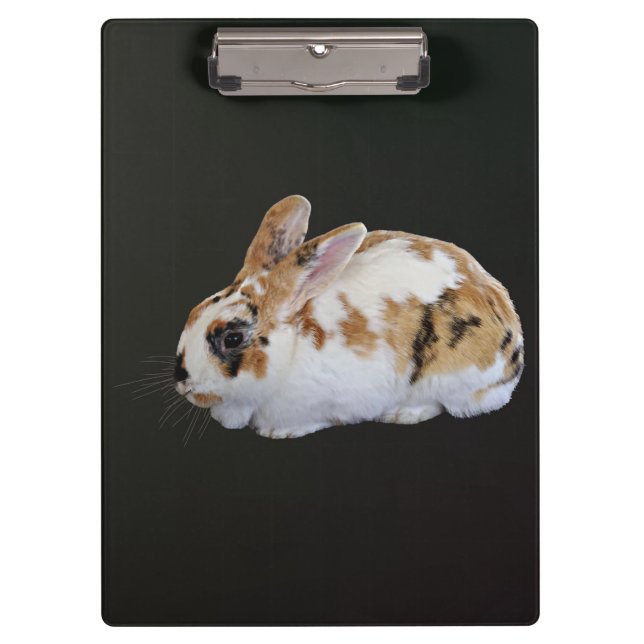 Carpeta De Pinza Calico Rabbit (Anverso)