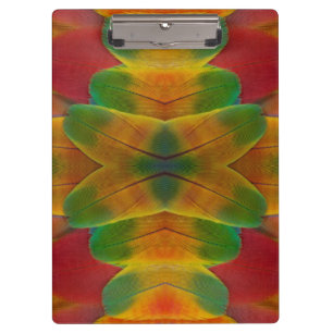 Carpeta De Pinza calidoscopio de plumas de loro guacamayo