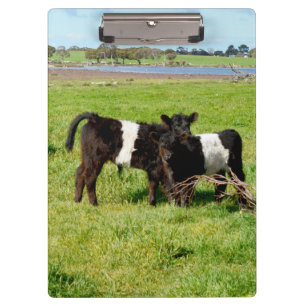 Carpeta De Pinza Calvas Galloway con cinturón para bebé, portapapel