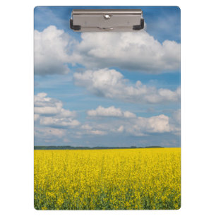 Carpeta De Pinza Campo de Canola y Nubes