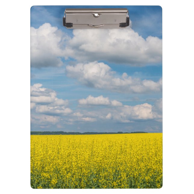 Carpeta De Pinza Campo de Canola y Nubes (Anverso)