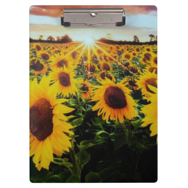 Carpeta De Pinza Campo de girasol (Anverso)
