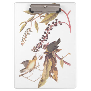 Carpeta De Pinza Cangrejo de Warbler Audubon
