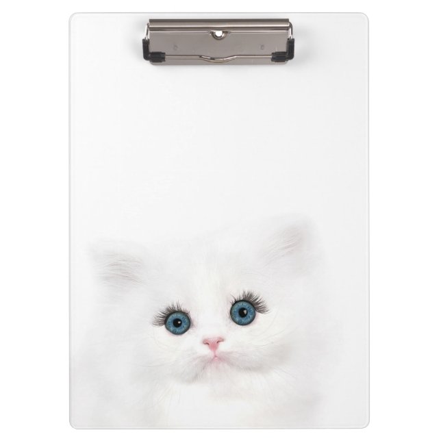Carpeta De Pinza Cara persa blanca observada azul del gatito (Anverso)