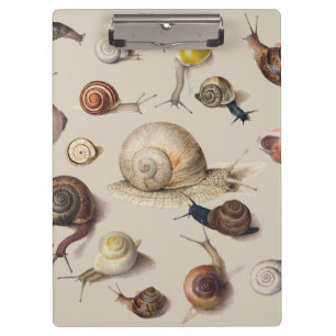 Carpeta De Pinza Caracoles de Jardín Antiguos Ilustración Científic