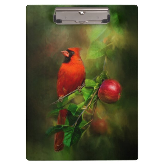 Carpeta De Pinza Cardenal masculino guapo (Anverso)