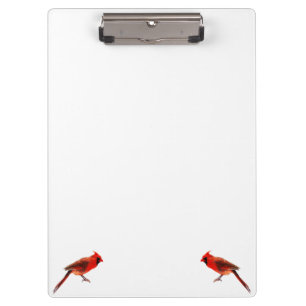 Carpeta De Pinza Cardenales