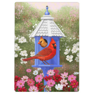 Carpeta De Pinza Cardenales y Aves Azules
