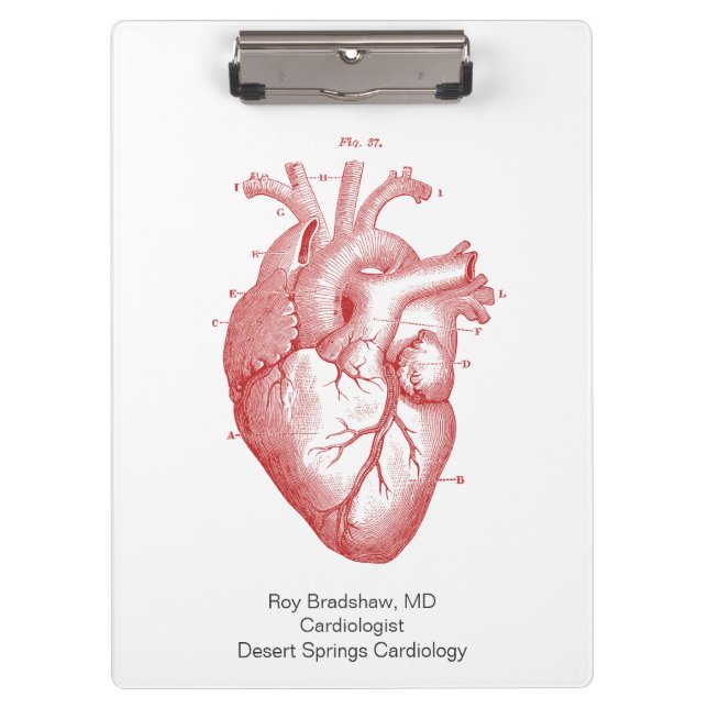 Carpeta De Pinza Cardiología cardíaca anatómica (Anverso)