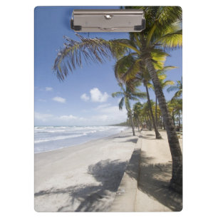 Carpeta De Pinza Caribe - Trinidad - Playa Manzanilla activada