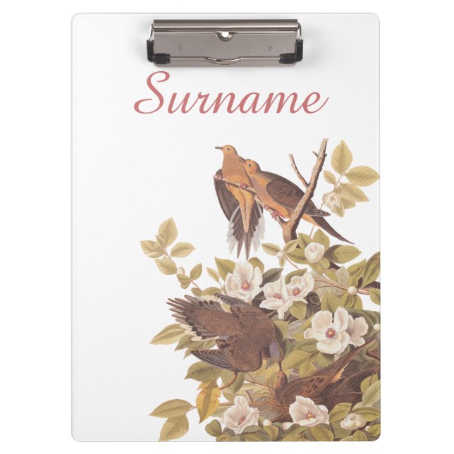 Carpeta De Pinza Carolina Turtle Dove Arte Personalizado de la Fami (Anverso)