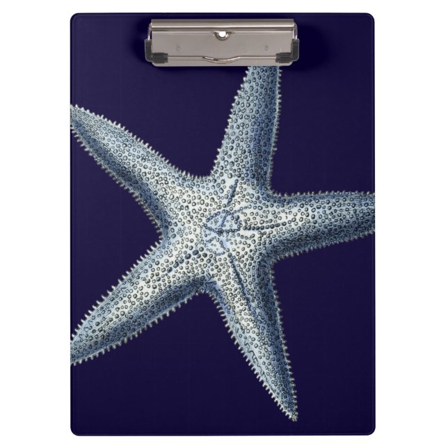 Carpeta De Pinza Cáscaras de índigo IV (Anverso)