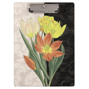 Carpeta De Pinza Centro II