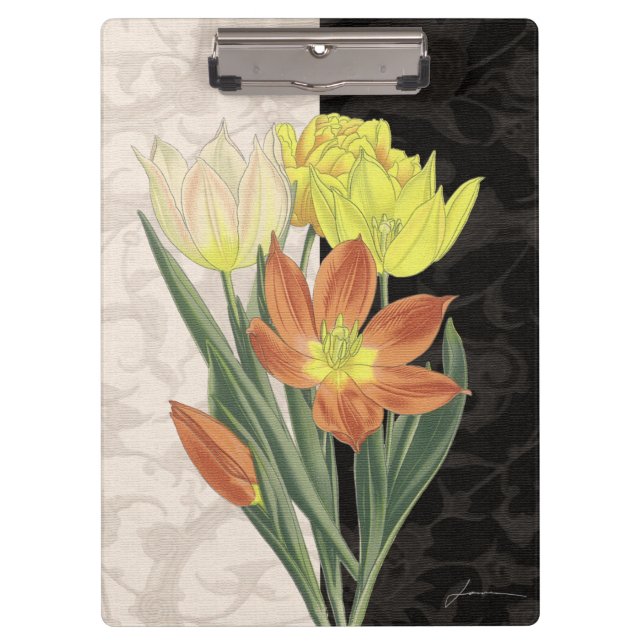 Carpeta De Pinza Centro II (Anverso)