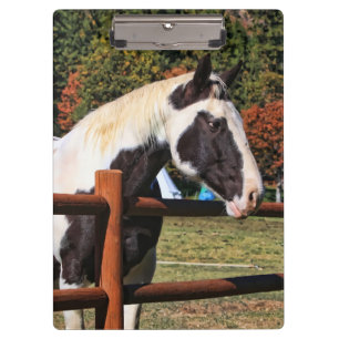 CARPETA DE PINZA CERCA DEL CABALLO Y DE CARRIL