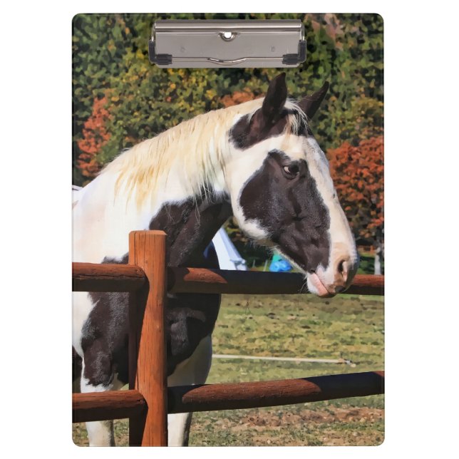 CARPETA DE PINZA CERCA DEL CABALLO Y DE CARRIL (Anverso)