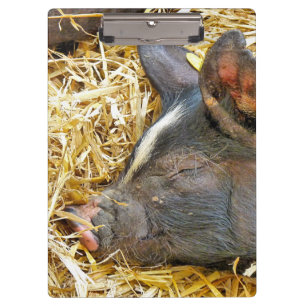 CARPETA DE PINZA CERDO CUTIDO