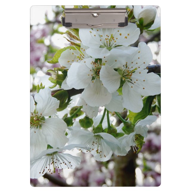 Carpeta De Pinza Cerezo en flor (Anverso)