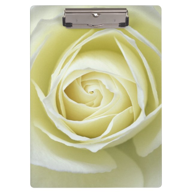 Carpeta De Pinza Cerrar detalles de rosa blanca (Anverso)
