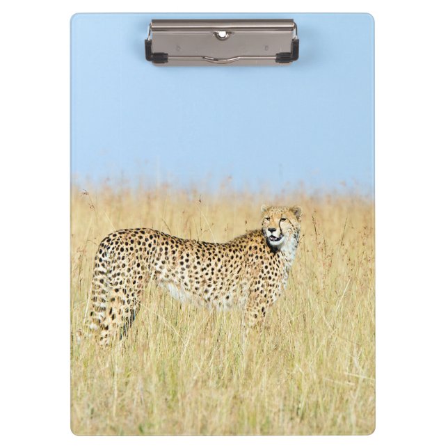 Carpeta De Pinza Cheetah (Anverso)