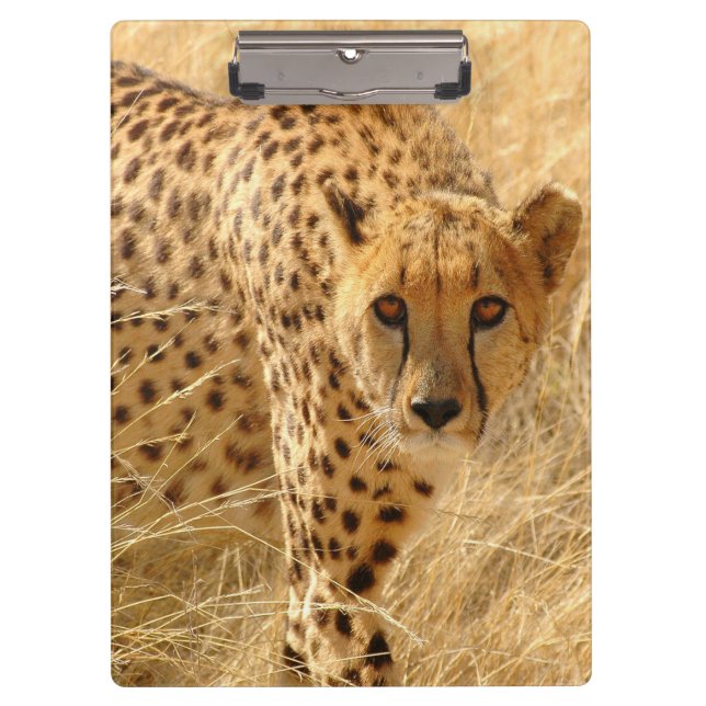 Carpeta De Pinza Cheetah/Portapapeles (Anverso)