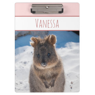 Carpeta De Pinza Chicas rosados Nombre personalizado Quokka en la p