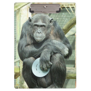 CARPETA DE PINZA CHIMPANCÉ DIVERTIDO